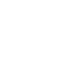 ARK RECORD